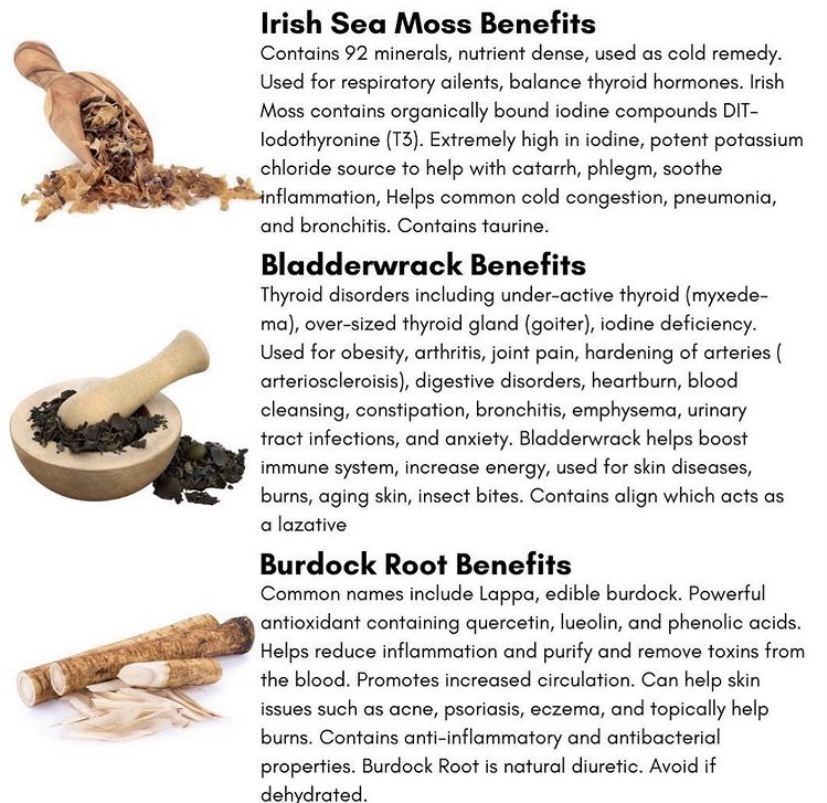 Balance For The Body- Sea Moss| Bladderwrack | Burdock Root - Image 2