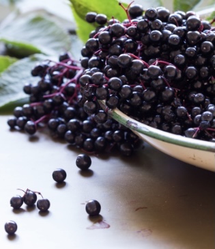 SnG Elderberry Infused Sea Moss - Image 2